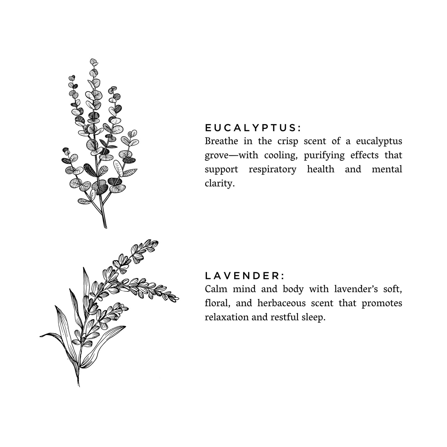 Eucalyptus & Lavender Natural Bar Soap